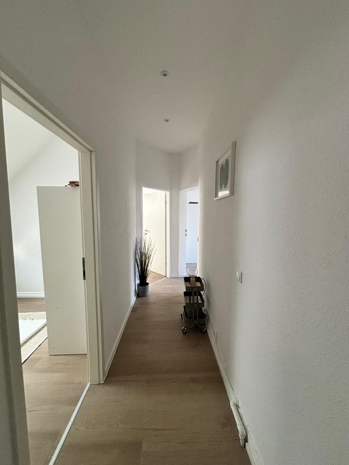 Juliusstraße – Wiesbaden – Referenzfoto 38 – Bauhorizont Projektentwicklung Wiesbaden