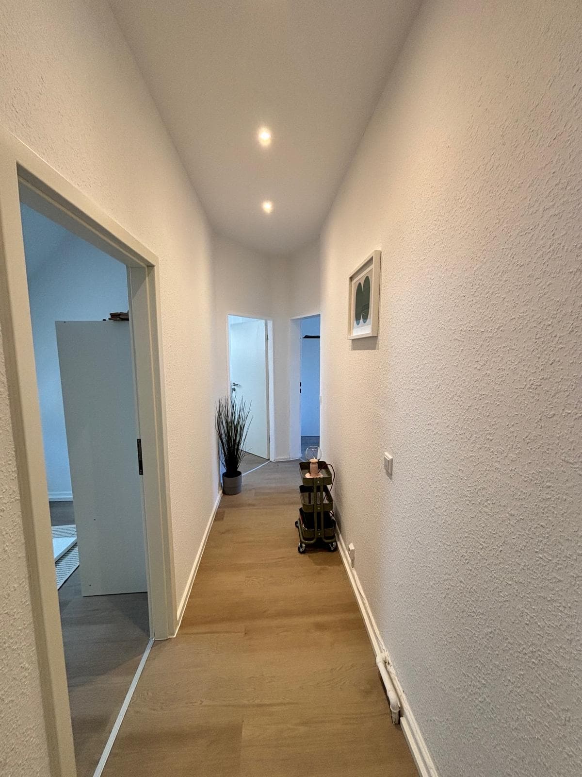 Nettelbeckstraße – Wiesbaden – Referenzfoto 13 – Bauhorizont Projektentwicklung Wiesbaden